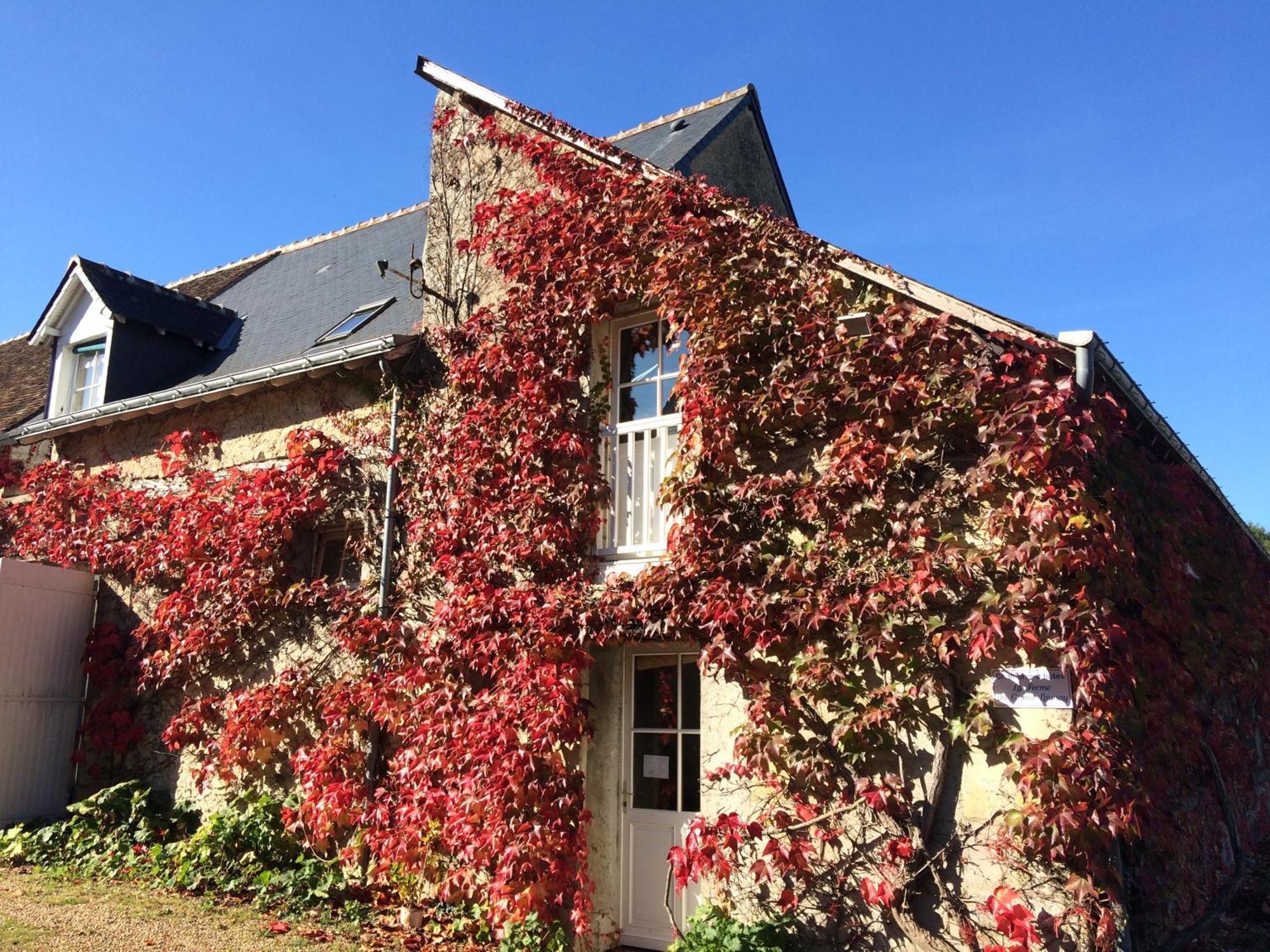 Chambres d'hôtes La Ferme du Grand Launay Semblançay Extérieur photo